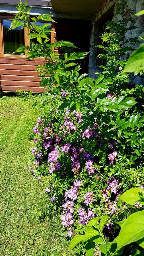 Antonowka Villa Trybsz ภายนอก รูปภาพ