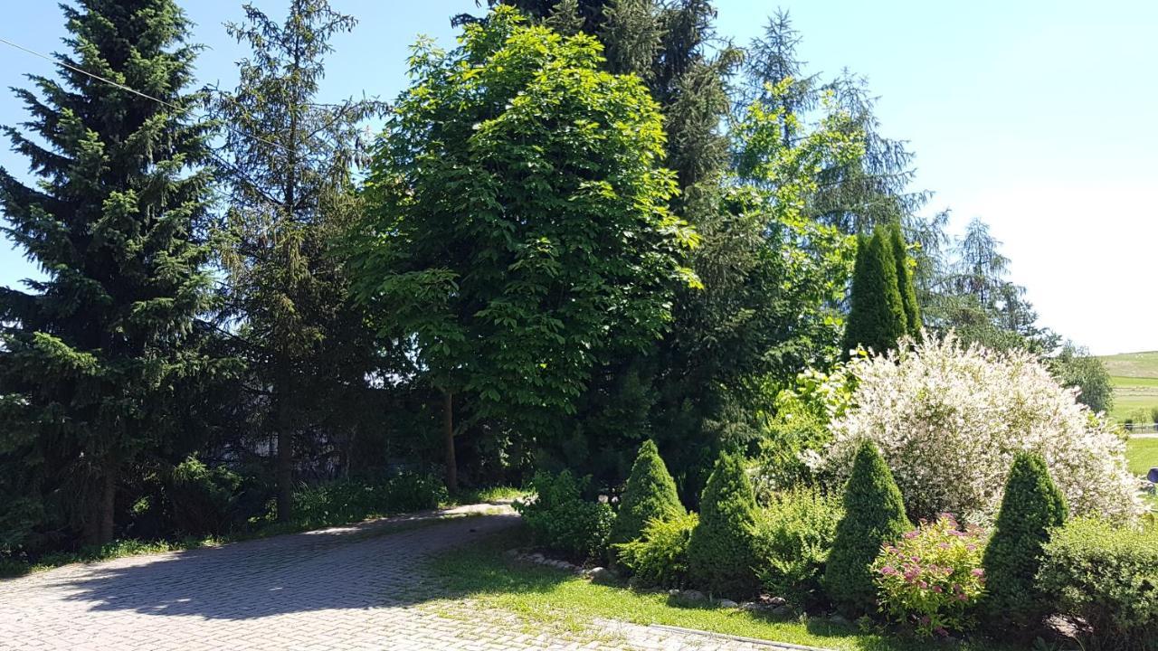 Antonowka Villa Trybsz ภายนอก รูปภาพ