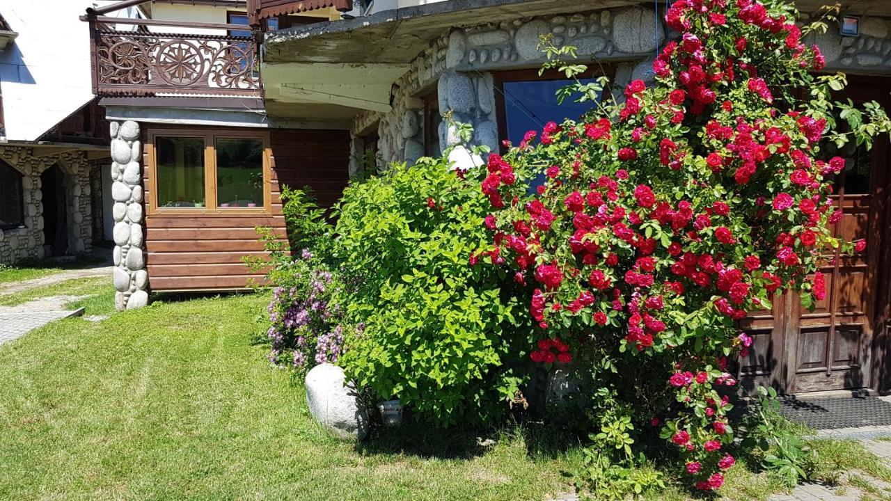 Antonowka Villa Trybsz ภายนอก รูปภาพ