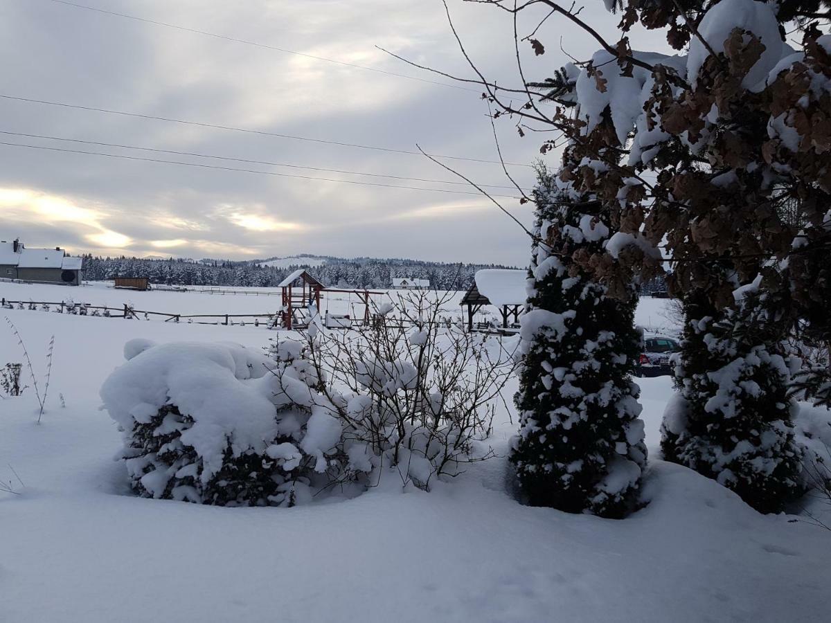 Antonowka Villa Trybsz ภายนอก รูปภาพ