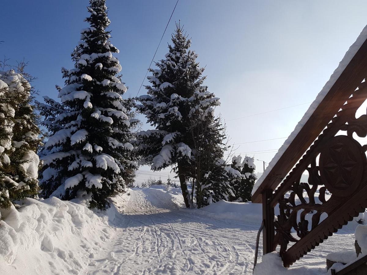 Antonowka Villa Trybsz ภายนอก รูปภาพ