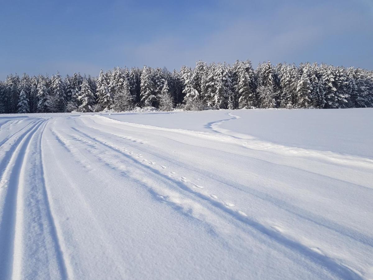 Antonowka Villa Trybsz ภายนอก รูปภาพ