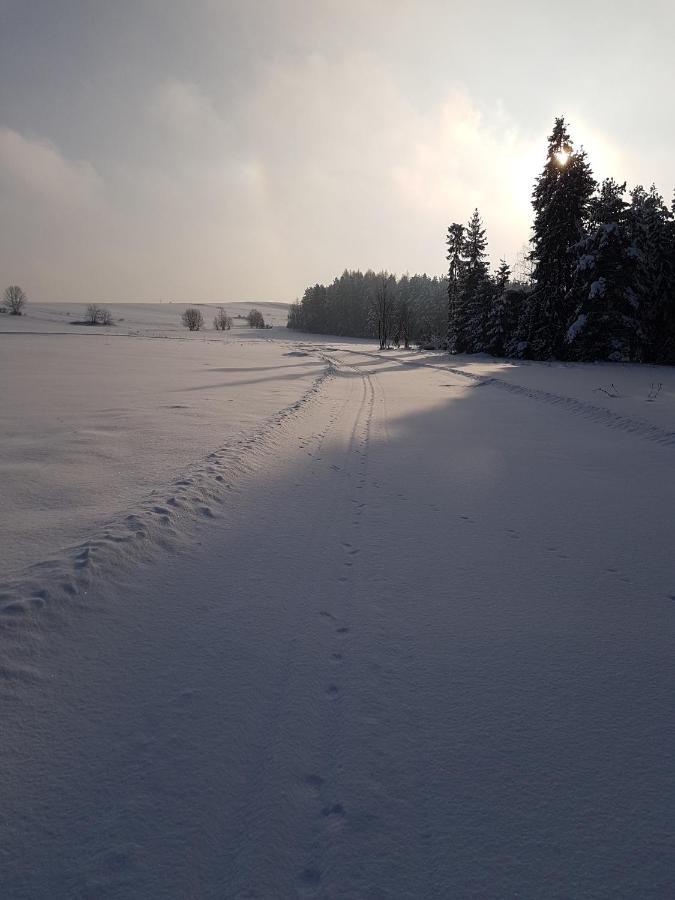 Antonowka Villa Trybsz ภายนอก รูปภาพ